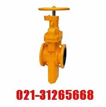 進(jìn)口燃?xì)忾l閥 福林fring進(jìn)口閥門(mén)