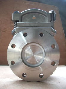 不銹鋼盲板閥圖片,不銹鋼盲板閥高清圖片 無錫市源華特種泵閥廠,