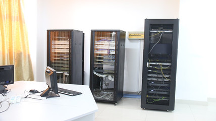 網(wǎng)絡(luò)工程與計(jì)算機(jī)軟件技術(shù)開發(fā) 數(shù)字化時(shí)代的雙翼